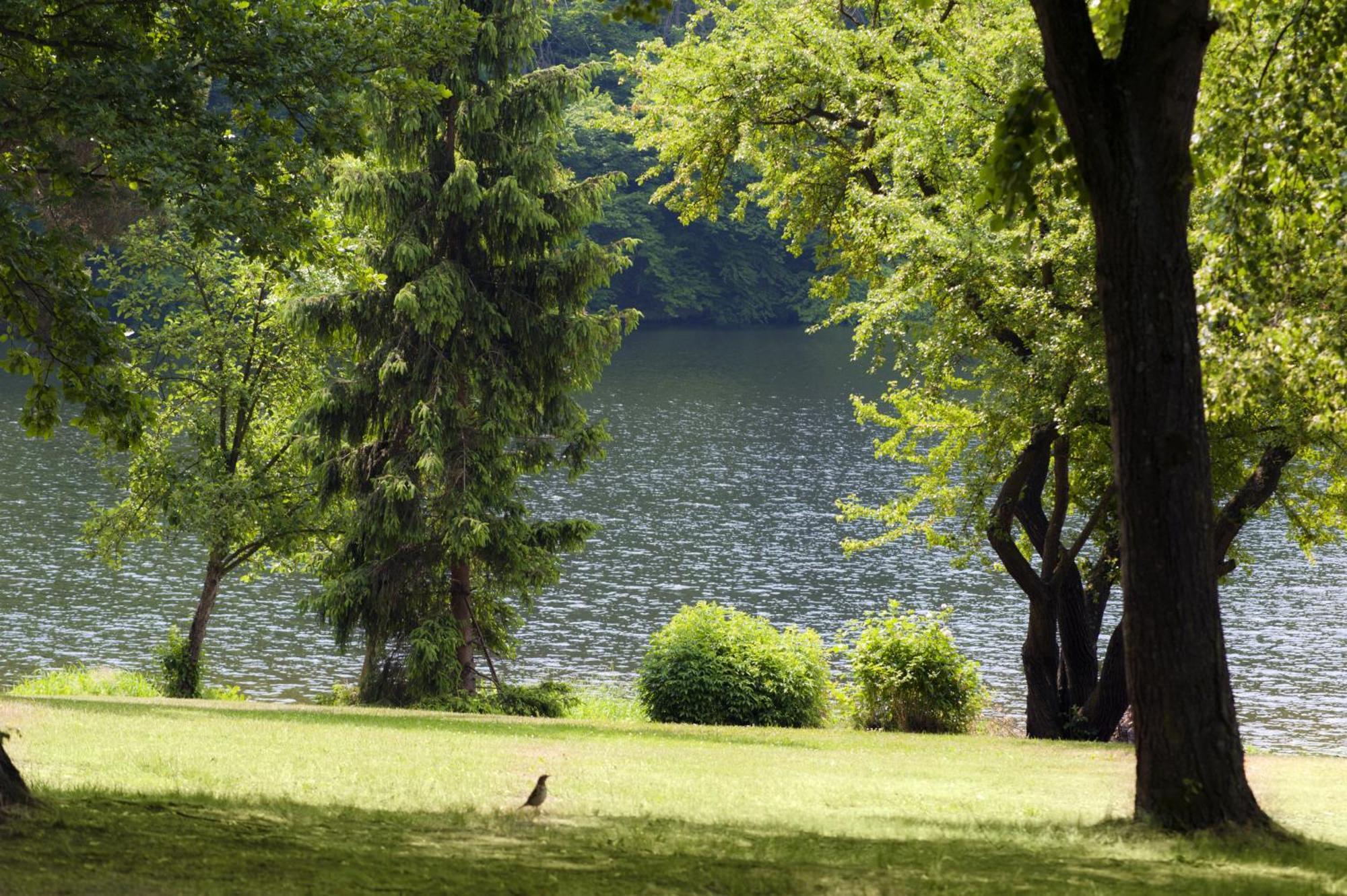 Resort Beach Nova Zivohost Křečovice エクステリア 写真